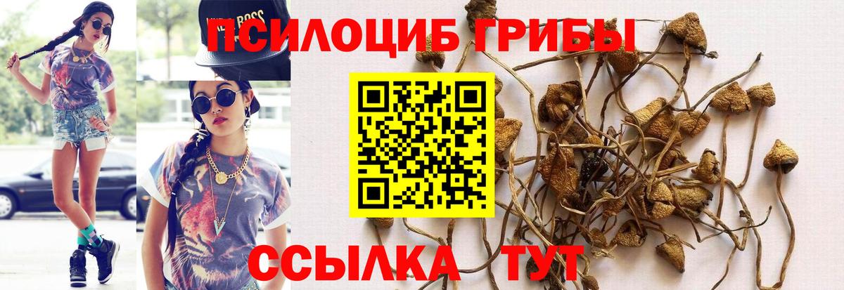 Галлюциногенные грибы мухоморы Североморск